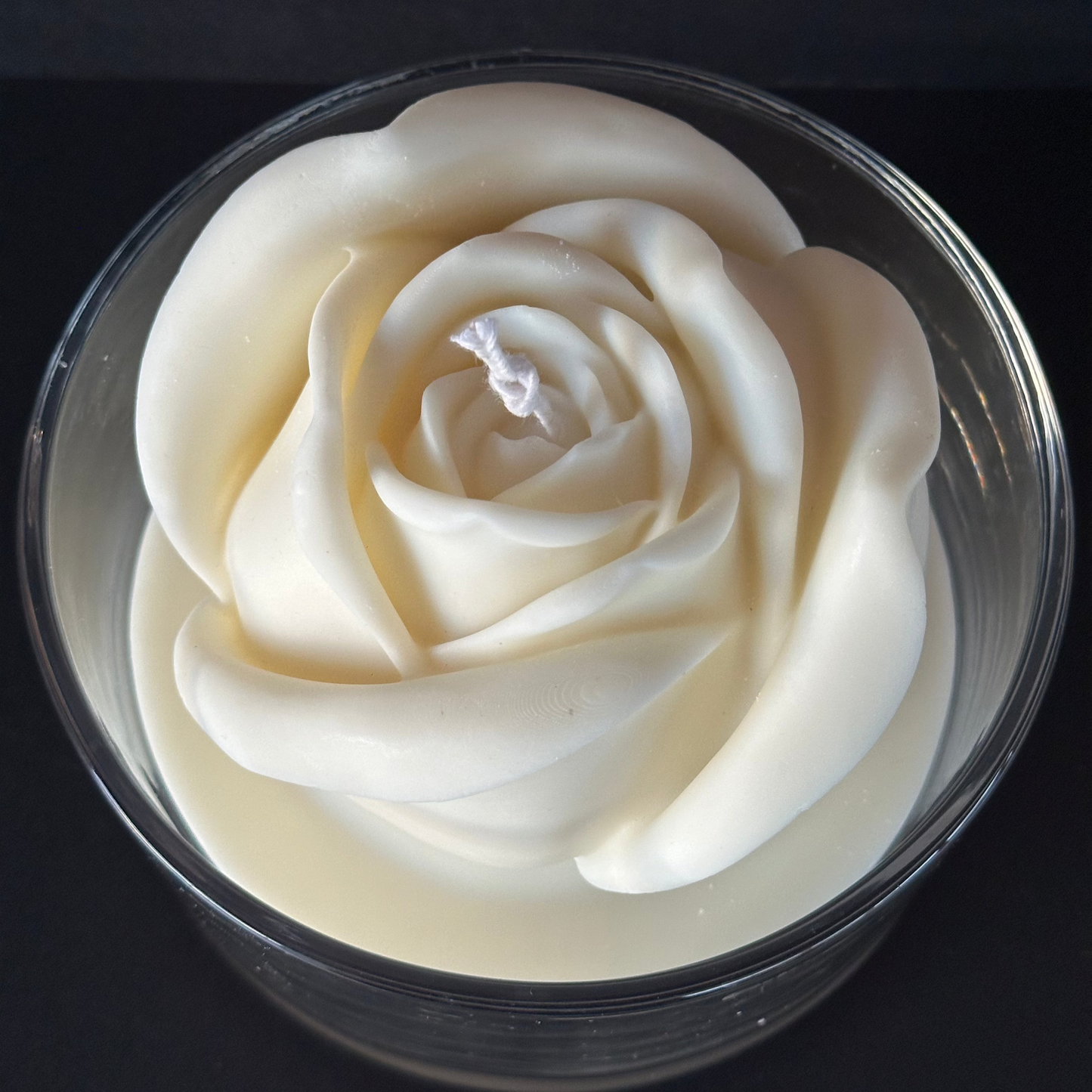 One White Rose